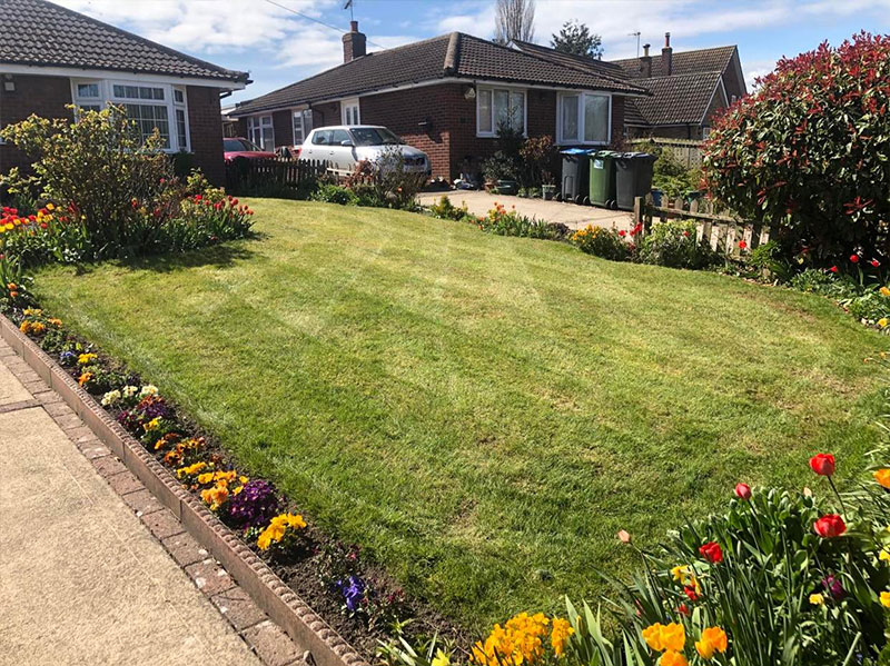 Landscaped garden with planting